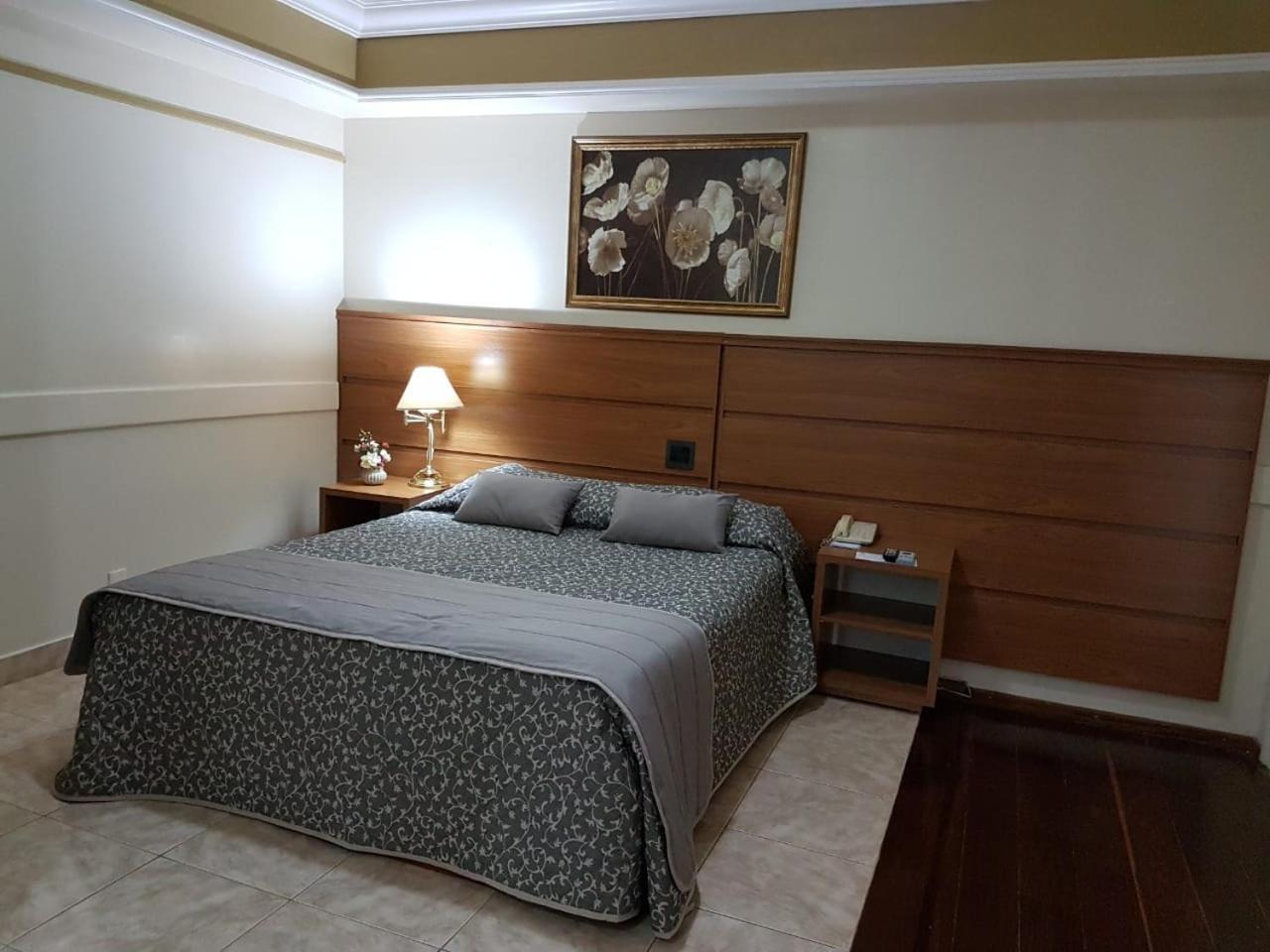 Tamareiras Park Hotel Uberaba Exteriér fotografie
